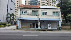 The Treeline (D15), Shop House #593885511